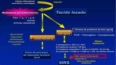 remit cirurgia|REMIT: Resposta Endócrino, Metabólica e Imunológica ao Trauma.